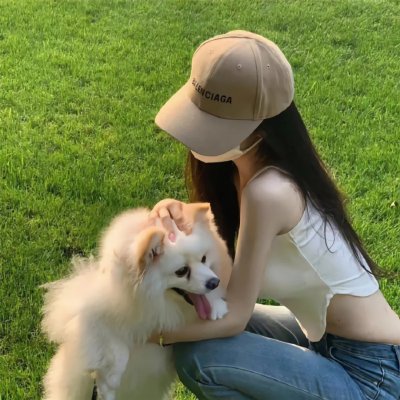 疯狂的狐狸